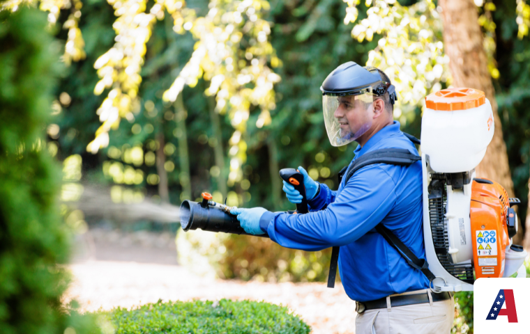 mosquito pest control
