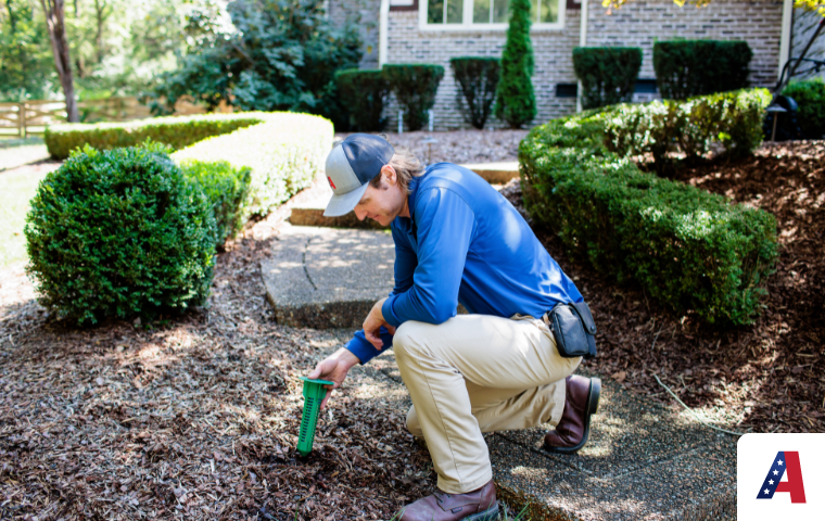 termite control nashville