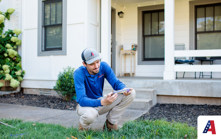 termite control tennessee