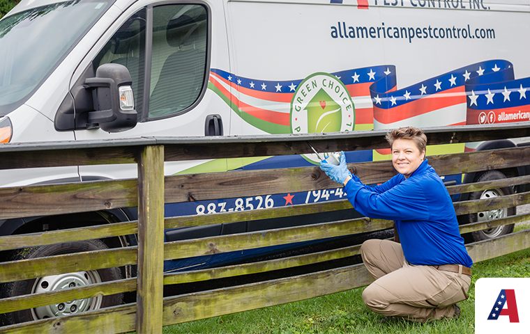 Learn How All-American Can Help You Prevent Carpenter Bees And Wasps carpenter bee treatment on fence