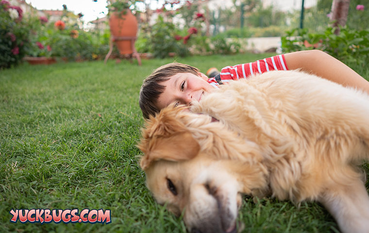 dog and child playing in grass