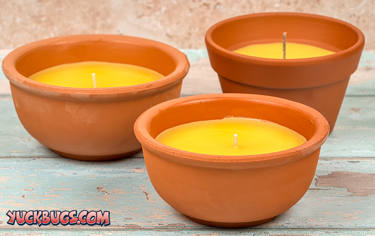 citronella candles
