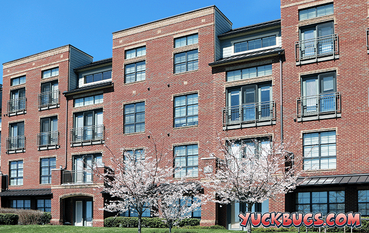 Learn More About Pest Control For Condos In Nashville condominium building in nashville
