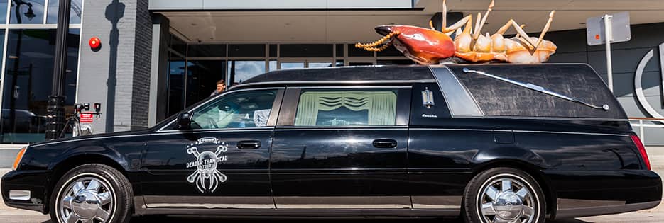 Learn More About Sentricon sentricon deader than dead tour