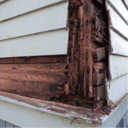 Termites Can Cause Damage Like This Quickly side of a home that has been destroyed by termites