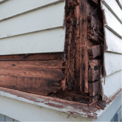 side of a home that has been destroyed by termites