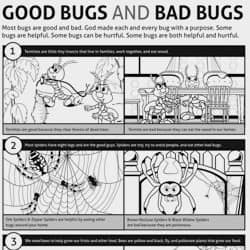 a cartoon of good bugs and bad bugs