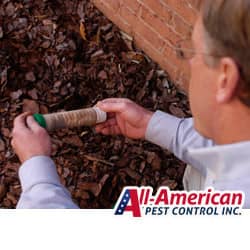 a termite exterminator inspecting the outside of a building