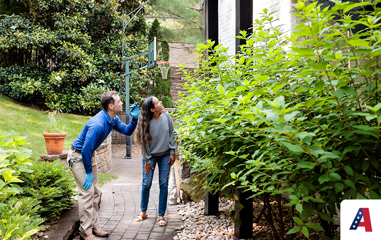 tech and homeowner looking for spider webs