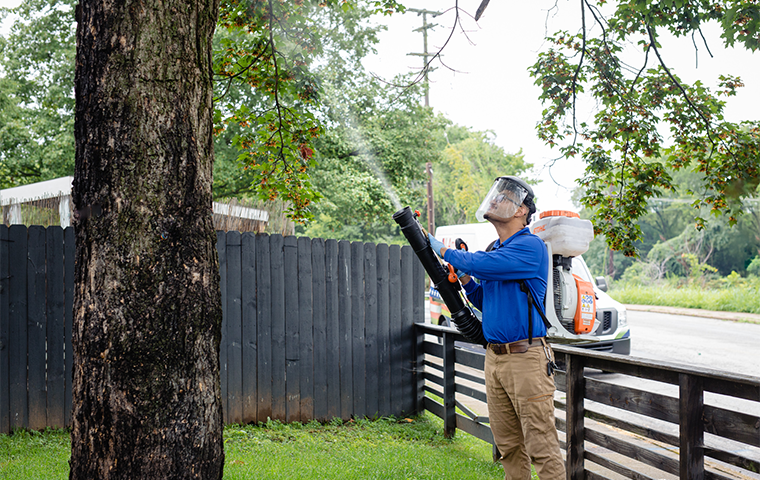 mosquito control misting service