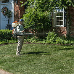 tech performing mosquito control outside a home