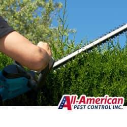 a pest technician trimming shrubs