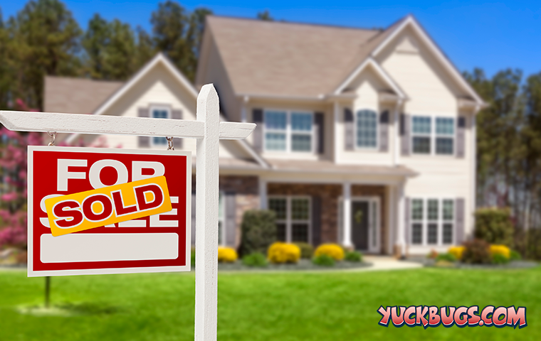 sold home in smyrna tn