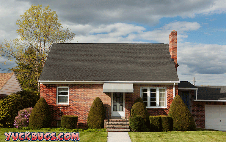 older brick home