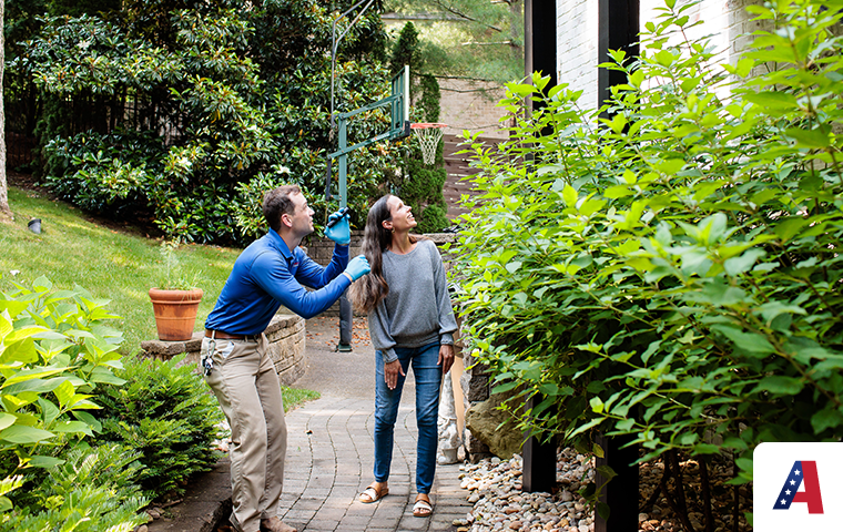 pest expert inspecting outdoor space