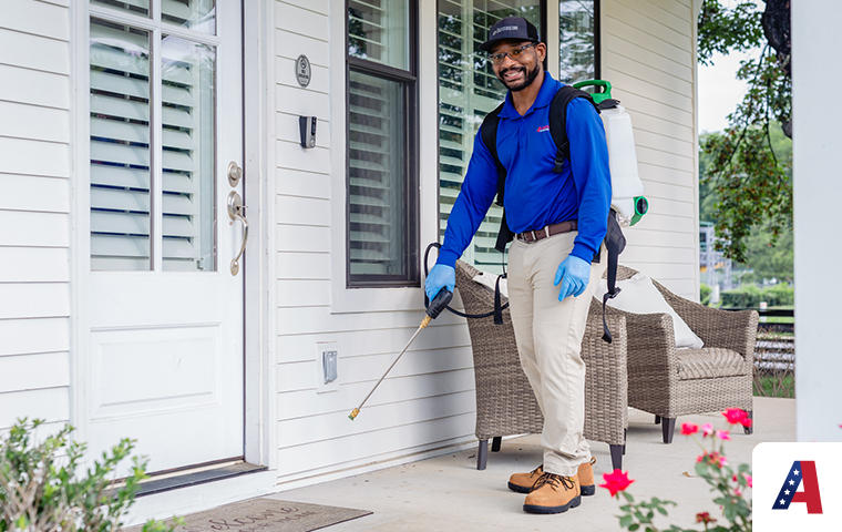 perimeter pest control service