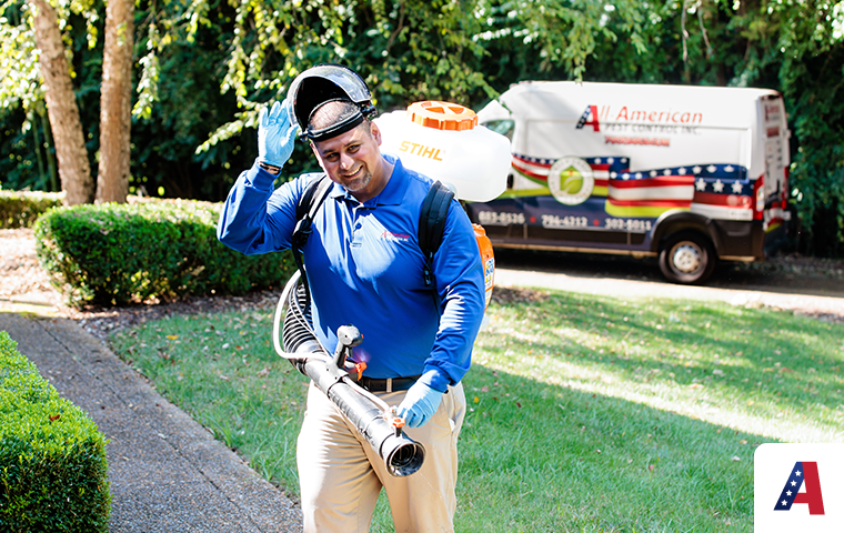 pest expert treating for stink bugs