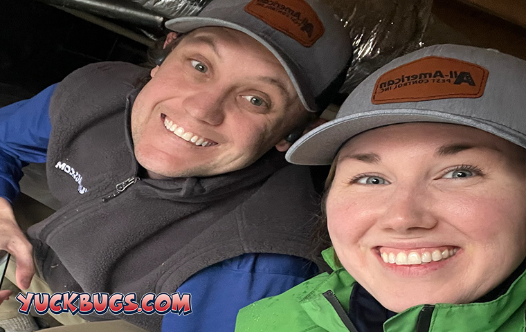 pest experts in crawl space