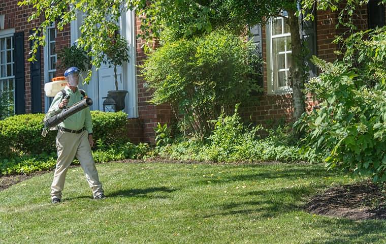 technician performing mosquito treatments