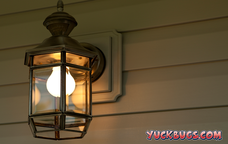 porch light at night