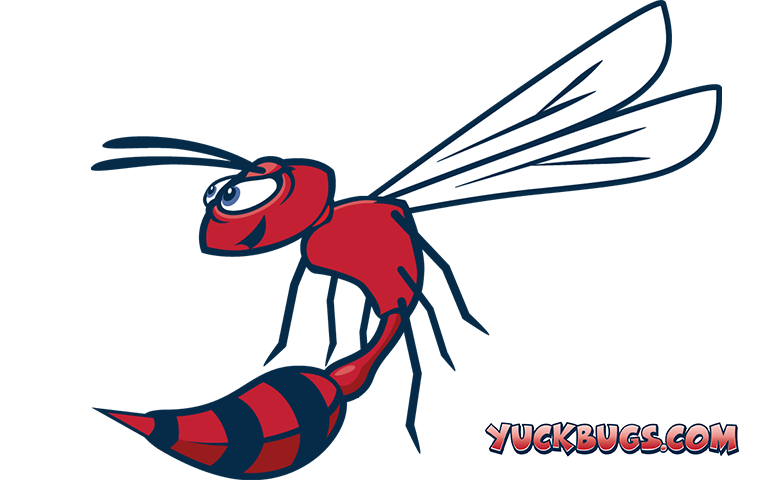 red wasp illustration on a white background