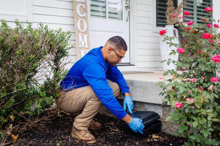 a tech setting a bait trap