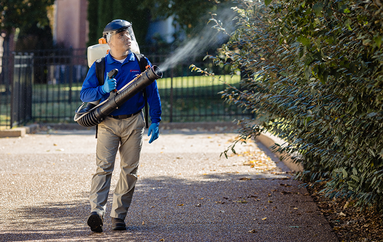 all-american technician misting for mosquitoes