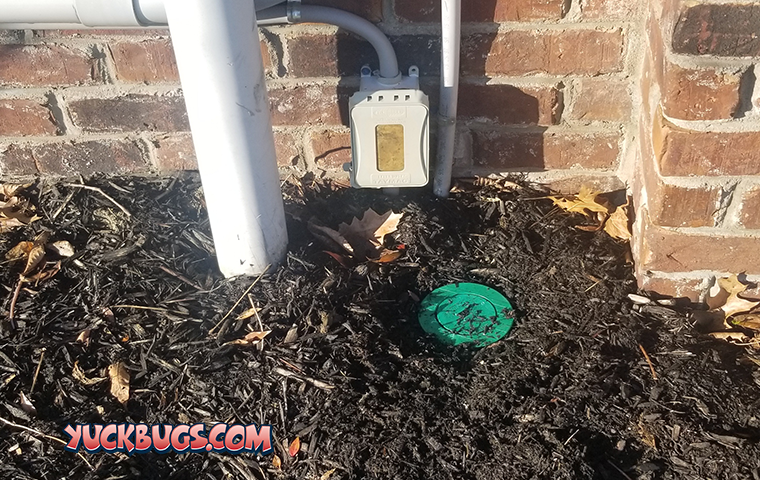 sentricon termite station in mulch