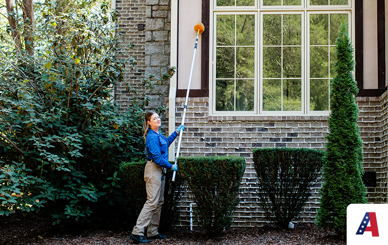 pest expert sweeping home