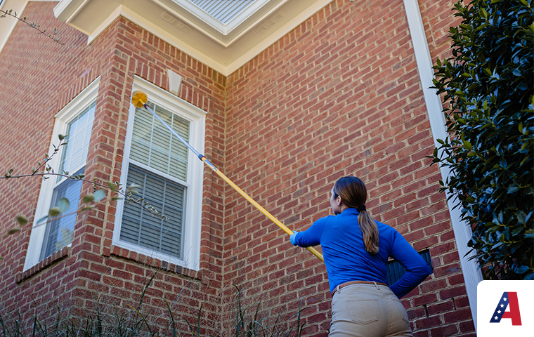 technician removing spider webs