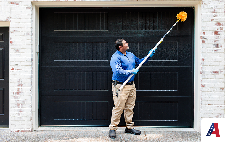 pest expert sweeping away spider webs