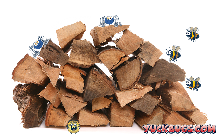 stack of firewood with pests