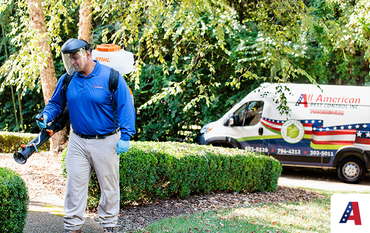 technician treating shrubs