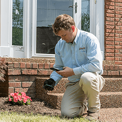 technician checking termite bait station outside a home