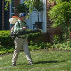 technician performing mosquito treatment outside a home