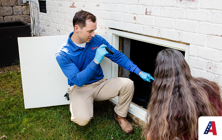 pest expert inspecting crawlspace