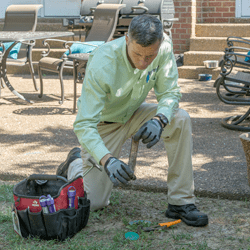 termite tech inspecting bait station