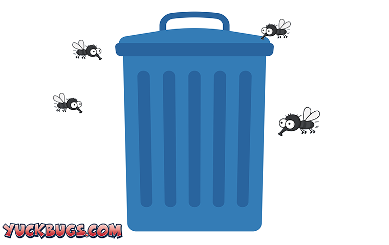 flies near trash can