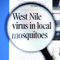 article about west nile virus in a paper with a magnifying glass