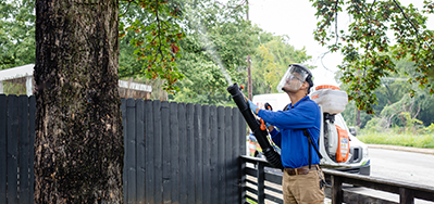 mosquito control service