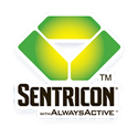 termite control with sentricon