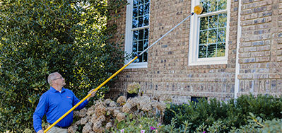 pest expert dewebbing home