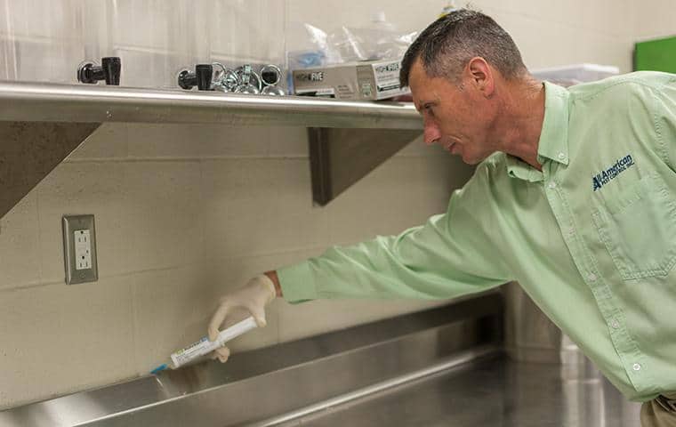 technician treating a kitchen for pests