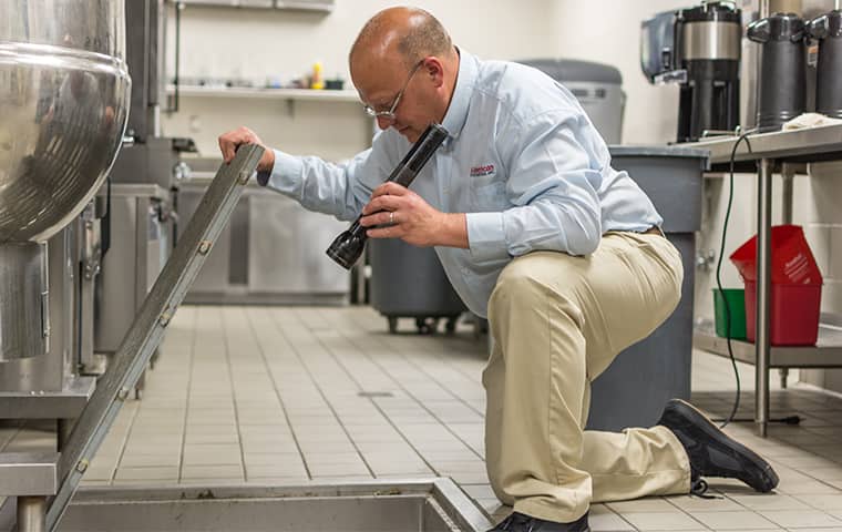 Protect Your Mount Juliet TN Business all american tech providing commercial pest control services in mount juliet tennessee