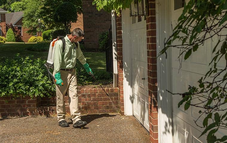 technician pest proofing a home