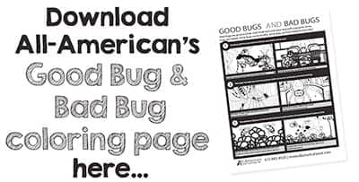 good bug bad bug coloring page