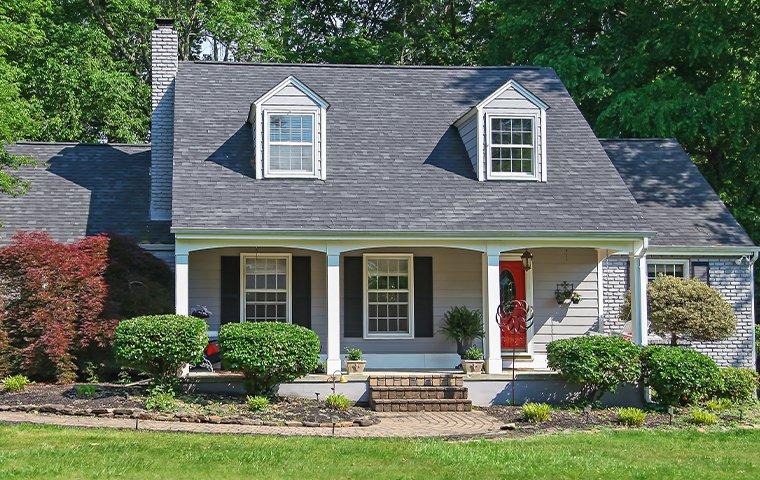 Home Pest Control Articles beautiful home