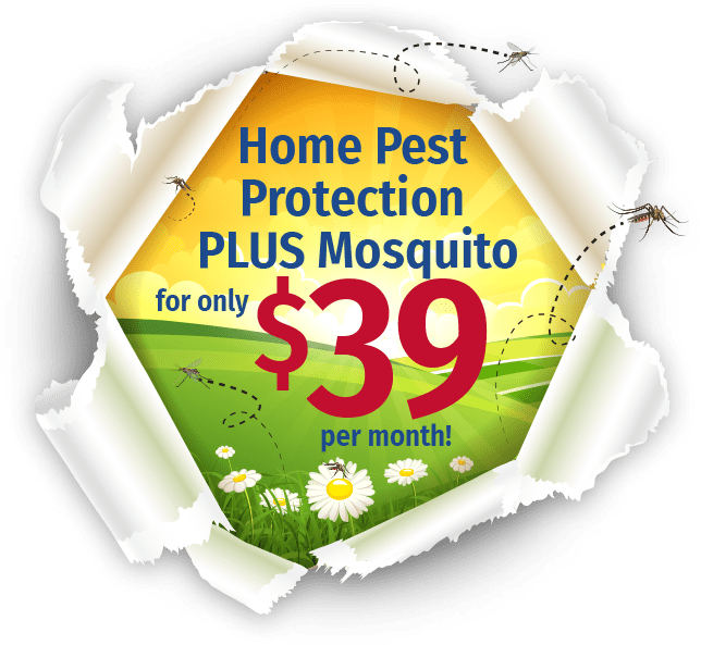 home pest plus mosquito burst