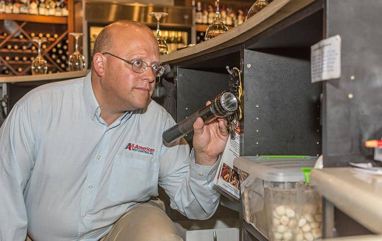 technician inspecting a commercial kitchen