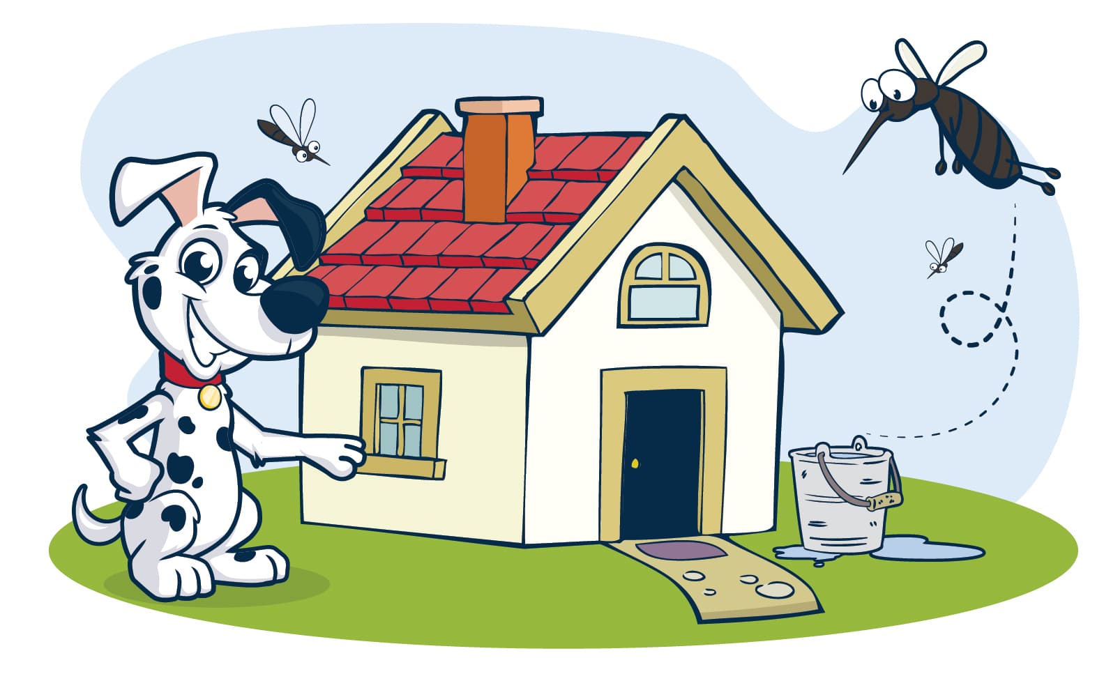 Eliminate Standing Water Around Your Home remove standing water